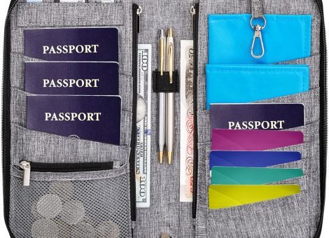 Valante Premium Family Travel Document Organizer Capacious RFID Passport Holder Wallet (Large, gray)